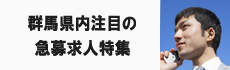 �Q�n�̋}�勁�l